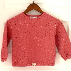 Floral Toddler ZARA Sweater NWT
